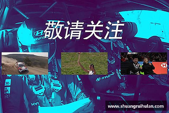 解读k1体育